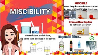 Miscibility of Liquids [upl. by Eecats]