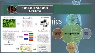 Introduction to Metagenomics [upl. by Kotz]