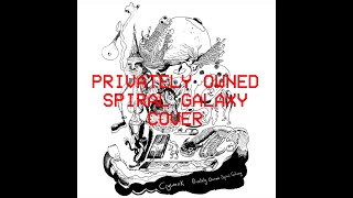 Privately Owned Spiral Galaxy  Crywank Cover [upl. by Odnanreh]