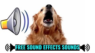 Dog Bark Sound Effect  DOG BARKING Sounds [upl. by Gnas]