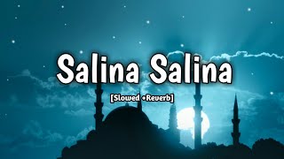 Salina Salina full song slowed and reverb  Official Arabicvideo song 2023 [upl. by Niawd]