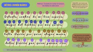 División silábica rima consonante y asonante verso estrofa sinalefa soneto [upl. by Sulrac]