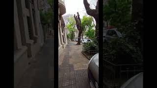 DÍA DE LLUVIA ☔️ EN MONTEVIDEO nos fuimos al bario POCITOS 🇺🇾 lauruguayitavlogs [upl. by Easter16]