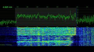 Russian Pirate 4625 kHz LSB essb Jamming 1 of 2  Signal Phantom [upl. by Anuait413]