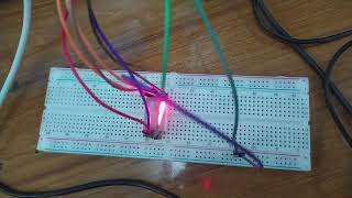 7 segment display using Arduino  Microprocessor and Microcontroller Lab [upl. by Ttezzil]