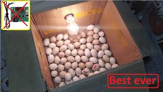 Beat idea to hatch eggs Without an temperature controller DIY HOW TO MAKE EGG INCUBATOR A HOME [upl. by Samohtnhoj90]