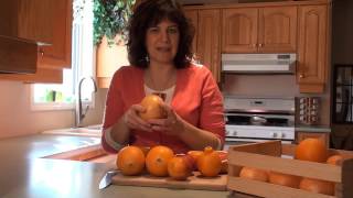 Learn about Common Orange Varieties [upl. by Padraic849]