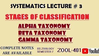 Alpha taxonomyBeta taxonomy Gamma taxonomyStages of classificationSystematics lect 3 ZOOL401 [upl. by Eade]