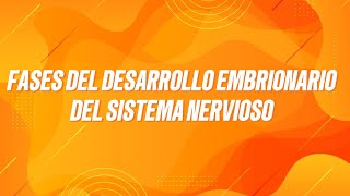 Fases del desarrollo embrionario del SN explicación en 10min 🤑 [upl. by Bowen]