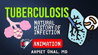 TUBERCULOSIS PATHOPHYSIOLOGY  ANIMATION [upl. by Lietman]