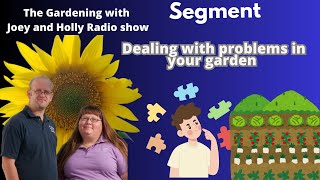 Seg 1 of S8E21 Dealing with garden problems  The Gardening with Joey amp Holly Radio Show in studio [upl. by Alyahsal]