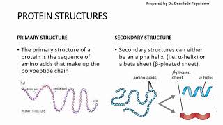 Chapter 23 Biological Molecules  Proteins [upl. by Irolam]