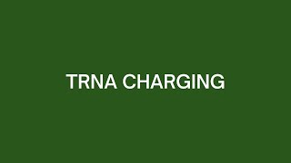 tRNA Charging [upl. by Winne479]