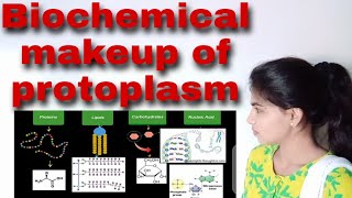 Biochemical makeup of protoplasm Bsc I paper III unit III [upl. by Pius]