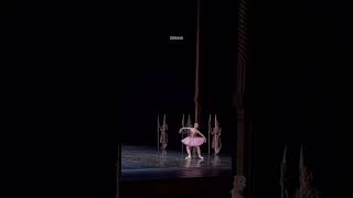 Alice Mariani in an excerpt from Gamzatti’s variation – La Bayadere at La Scala Theatre [upl. by Rinee]