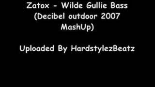 Zany  Wild Gullie Bass [upl. by Ppik]