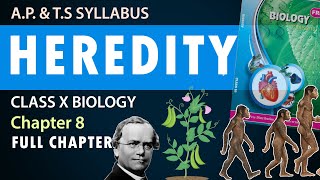 Class 10 heredity and evolution in Telugu 10th Biology Chapter 8  AP amp TS Syllabus  FULL CHAPTER [upl. by Heron]