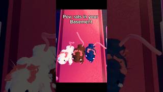 Do you like rats roblox shortsviral fypシ゚viral dresstoimpress dti funny meme dance mm2 [upl. by Nivrac]