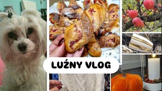 WEEKLY VLOG  PRZEPIS NA MALINIANKI amp przegląd nowego sklepu NOME🤭🍁 [upl. by Nnyliram]