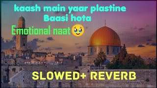 kash main yaro palestine ka basi hota slowed reverbLofi plestine naat qwwali [upl. by Constantin]