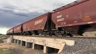 BNSF grain train with four pusher locomotives near Louviers Colorado 5 2020 [upl. by Pate]