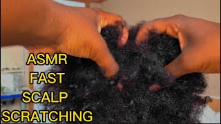 ASMR Scalp Scratching amp Combing Curly Afro Very Fast Tingles  No talking [upl. by Stedman699]