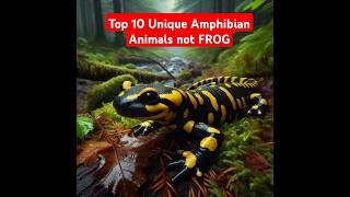 10 MOST UNIQUE AMPHIBIANS That Arent Frogs viralvideo shorts [upl. by Leonie458]