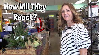 Our Customers React to Smelling the HUGE Flower of a Starfish Plant 🦨🌺  A Reaction Video [upl. by Pardew]