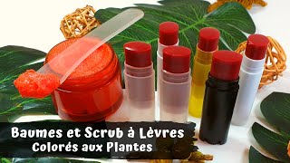 Baumes et Scrub à Lèvres ↑↑ Colorés à lOrcanette et Aker el Fassi ↑↑ Pour des Lèvres Pulpeuses ↑↑ [upl. by Eityak]