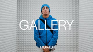 Morad  Pensamientos  GALLERY SESSION [upl. by Brinna]