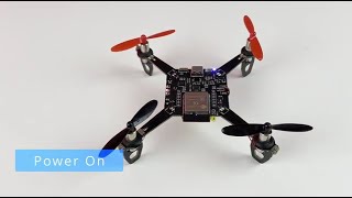 LiteWing  A Fun DIY WiFi Mini Drone based on ESP32 [upl. by Kciredec]