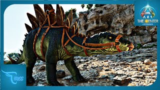 MENCOBA TAMING STEGOSAURUS EPS 12  ARK The Center Ascended [upl. by May]