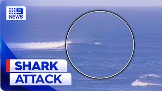 Surfer bitten by great white shark in Perth  9 News Australia [upl. by Anstus]