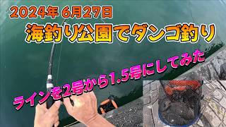 【釣り】2024年6月27日 海釣り公園でダンゴ釣り 「ラインを2号から15号にしてみた」【ダンゴ釣り】 [upl. by Elspeth268]