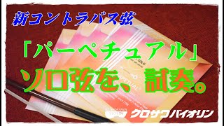 【ソロ弦試奏】新コントラバス弦「パーペチュアル（ソロ弦）」を試奏してみました！！ [upl. by Caton]