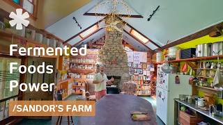 Built offgrid homestead Then became Fermented Foods goto expert [upl. by Wager]