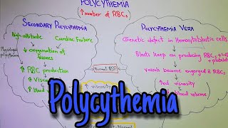 Polycythemia chapter 33 part 11 Guyton and Hall text book of physiology [upl. by Ardnalac160]