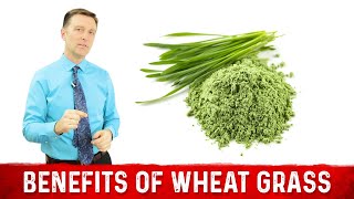 12 Scientific Health Benefits of Wheat Grass Powder by Dr Berg [upl. by Manard399]