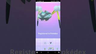 evolving Duwpider into Araquanid in pokémon go [upl. by Augusto]