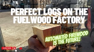 Day 133  Fuelwood Factory POWER Best logs on the market [upl. by Warton369]