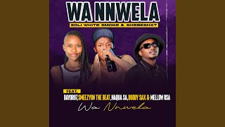 Wa nnwela feat Shebeshxt Bayor97 SmeezyOn The Beat Naqua SA Buddy Sax amp Mellow Rsa [upl. by Asserrac]