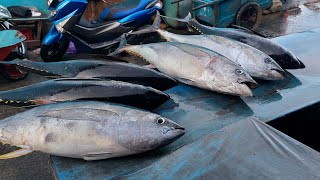 Live 05 Nov 24‼️🔥Activity of cutting tuna and various types of fresh fish at the Sorong fish market [upl. by Stubbs]