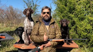 Labrador Retriever Training  Raising an Awesome Family Dog That Goes Hunting Sometimes [upl. by Drehcir]