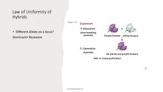 Mendelian Genetics Law of segregation law of uniformity Incomplete Dominance Codominance [upl. by Atekan]