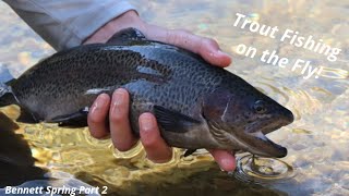 Missouri TROUT Fishing on the FLY  ORVIS ENCOUNTER and DOGWOOD CANYON combos [upl. by Warner]