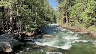 Sequoia amp Kings Canyon California  June 2024 [upl. by Nemajneb]