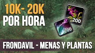 10k  20k por Hora  Cómo hacer oro en Wow  Frondavil  Guía de farmeo de oro [upl. by Yenohtna]