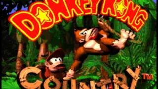 Donkey Kong Country OST Super Nintendo  Track 0123  Theme [upl. by Leahcimdivad819]