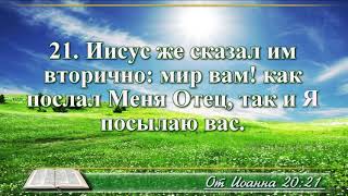 ВидеоБиблия Евангелие от Иоанна без музыки глава 20 читает Бондаренко [upl. by Shwalb]