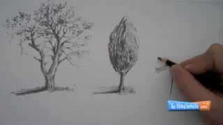 How to Draw Trees [upl. by Hoxie]